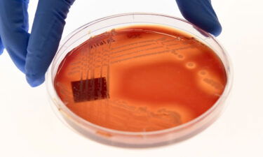 Climate change is contributing to the rise of superbugs