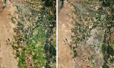 Comparison view of the Sacramento Valley rice-growing region that has lost nearly 75 percent of production due to extreme drought conditions east of Willows