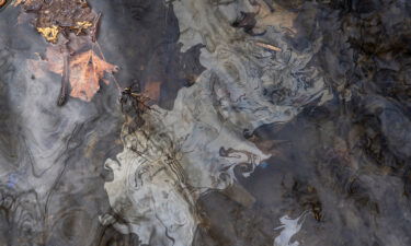 Petroleum based chemicals float on the top of the water in Leslie Run creek after being agitated from the sediment on the bottom of the creek on February 20