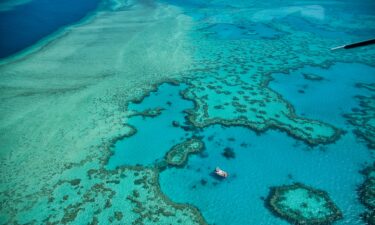 The Great Barrier Reef in Queensland has suffered several mass bleaching events due to the impacts of climate change.