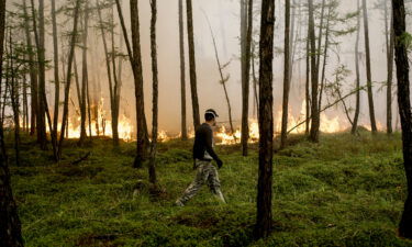 Wildfires in Sakha