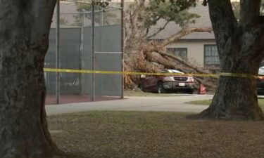 The California woman who was killed when a large tree fell on top of an SUV in Anaheim has been identified as Maria De La Luz Cruz.