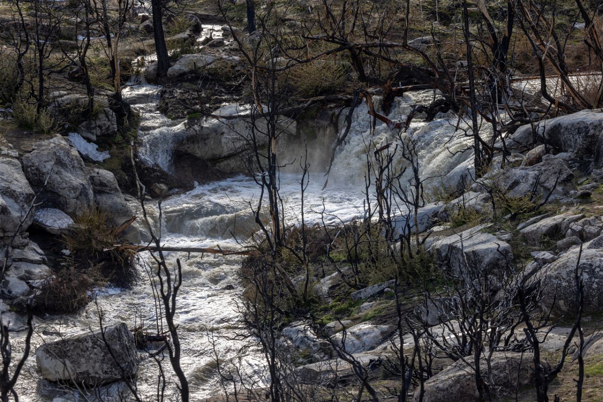 WOFFORD HEIGHTS, CA - MARCH 12: Snowmelt water rushes from mountains burned in the 2021 French Fire on March 12, 2023 near Wofford Heights, California. Another in a series of atmospheric river storms from the Pacific Ocean has brought a warm rain to the region, which is falling on top of, and melting, large areas of snow in the Sierra Nevada Mountains, increasing the risk of floods at lower elevations. This years  destructive and deadly storms have produced heavy rains and a near-record snowpack in the Sierras, which provides water for millions of Californians. As a result of one of California's wettest winters on record, most of the state has gotten relief from years of drought. (Photo by David McNew/Getty Images)