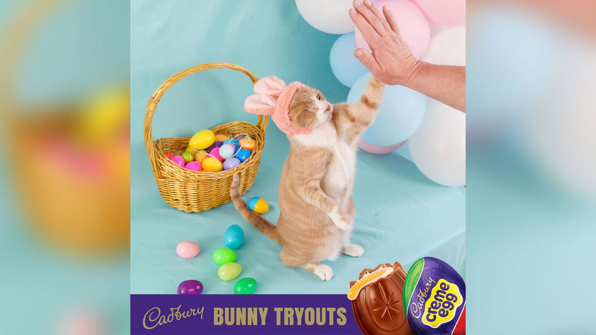 <i>From Cadbury</i><br/>Crash