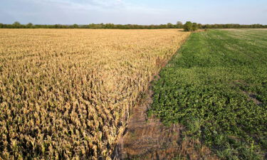 Argentina is grappling with an unprecedented late-summer heatwave as temperatures soar to record-breaking levels -- causing crops to wither