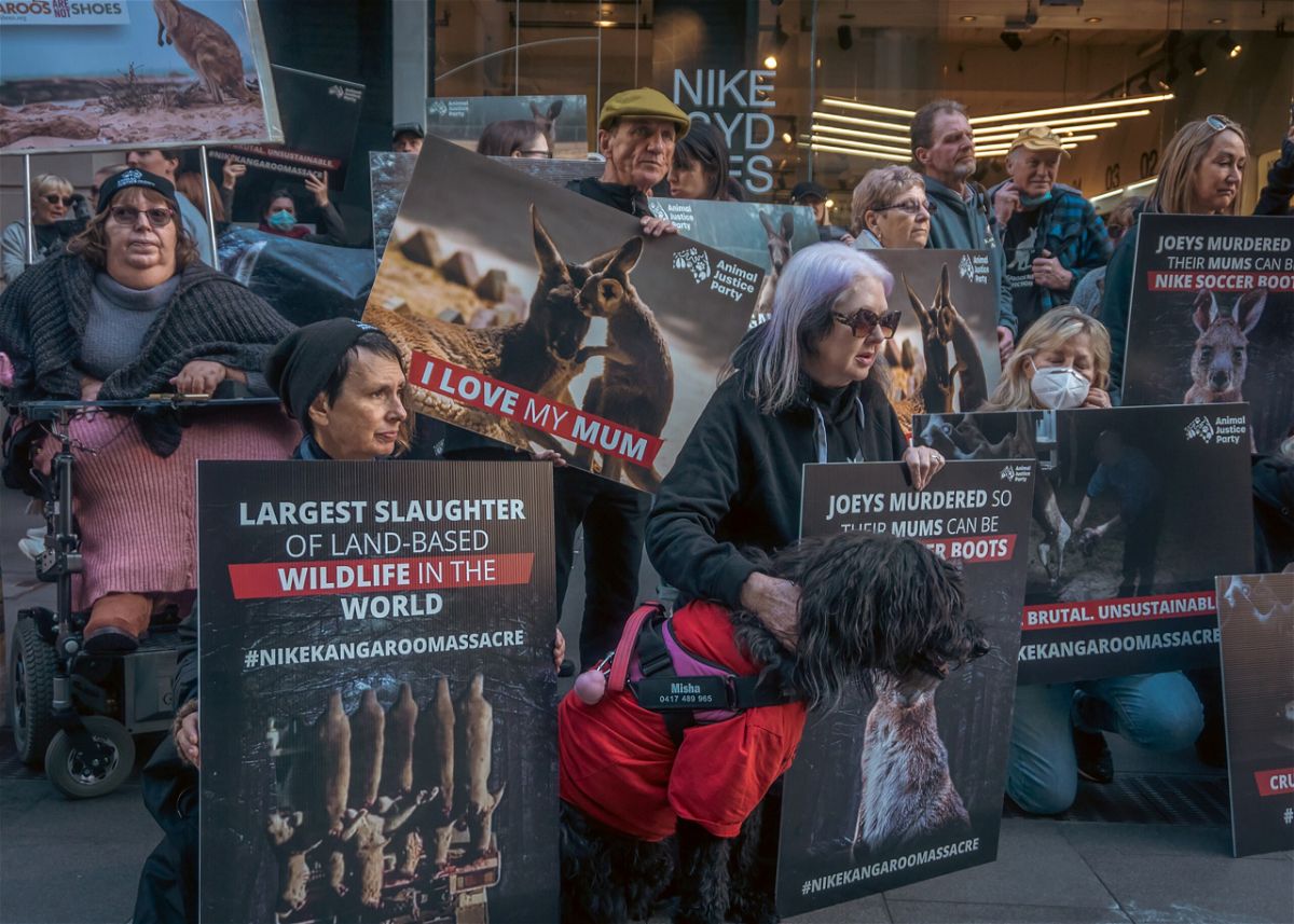<i>Courtesy Simon Garrod</i><br/>Protesters put pressure on Nike to end its use of kangaroo leather during an Animal Justice Party protest outside the company's George Street store in Sydney last July.