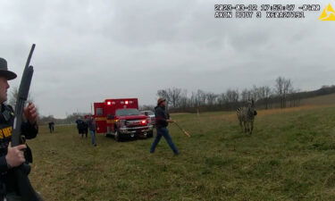 An Ohio man was hospitalized after a zebra attacked him and bit his arm on Sunday