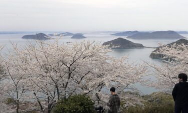 Japan has recounted its islands -- and discovered it has 7