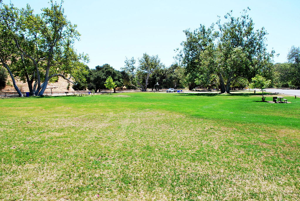 Badger Flat field
