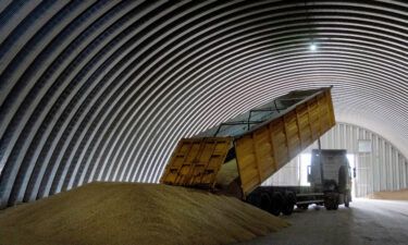 A dump track unloads grain in a granary in the village of Zghurivka