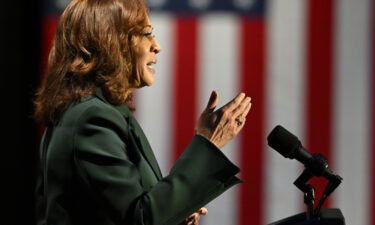 Vice President Kamala Harris has led the administration's response on abortion rights.