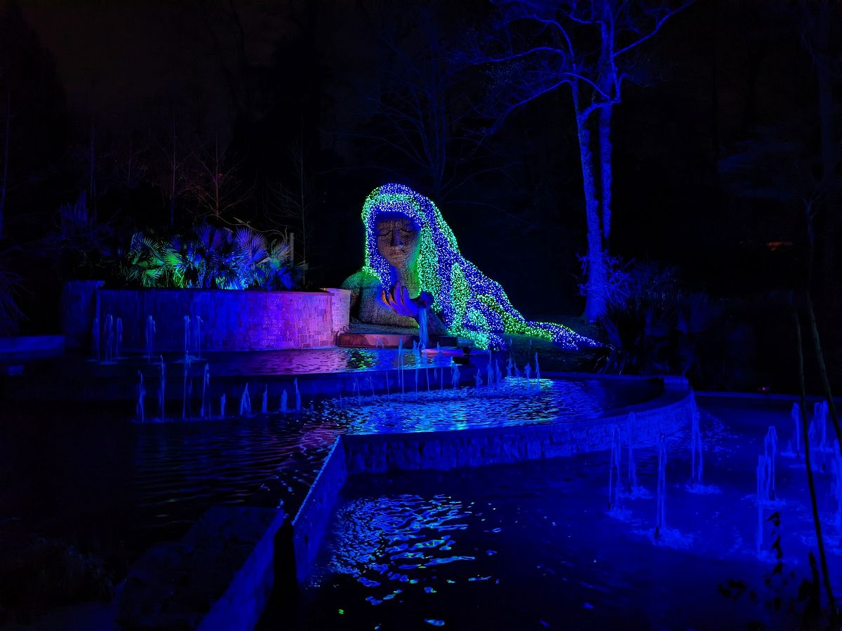 Lights illuminate the Atlanta Botanical Gardens