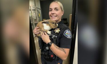 A new recruit has joined the police department in Yuba City
