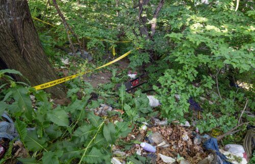 A 3-month-old girl was found dead in a wooded area of the Bronx on Sunday