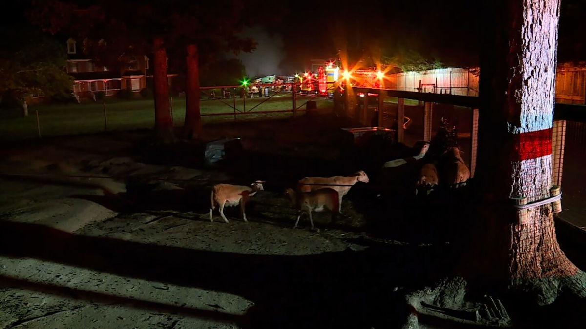 <i>WTVR</i><br/>A fire started around 9:50 p.m. Sunday in the workshop area of the Metro Richmond Zoo and spread to the animal hospital.