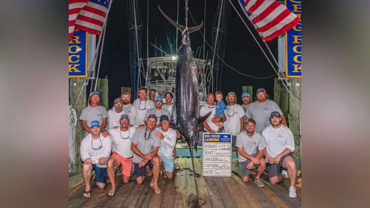 <i>The Big Rock Blue Marlin Tournament/Facebook</i><br/>The crew of Sensation pose with the massive blue marlin that was disqualified by fishing tournament officials.