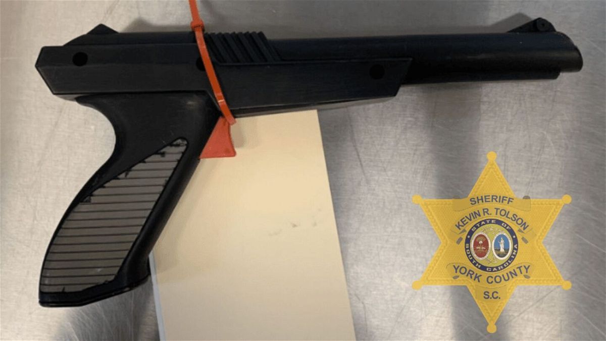 <i>York County Sheriff's Office</i><br/>A spray-painted Nintendo 