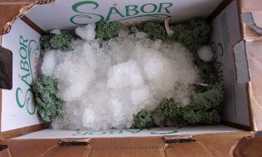CBP officers seized $38 million worth of methamphetamine within a shipment of kale in Otay Mesa