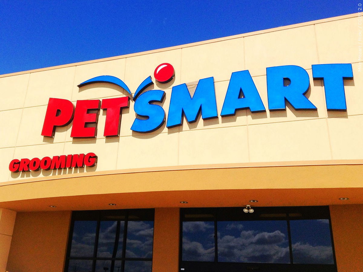 Petsmart by outlet me