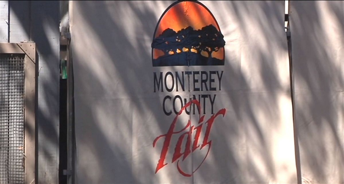 Monterey County Fair looking for volunteers KION546