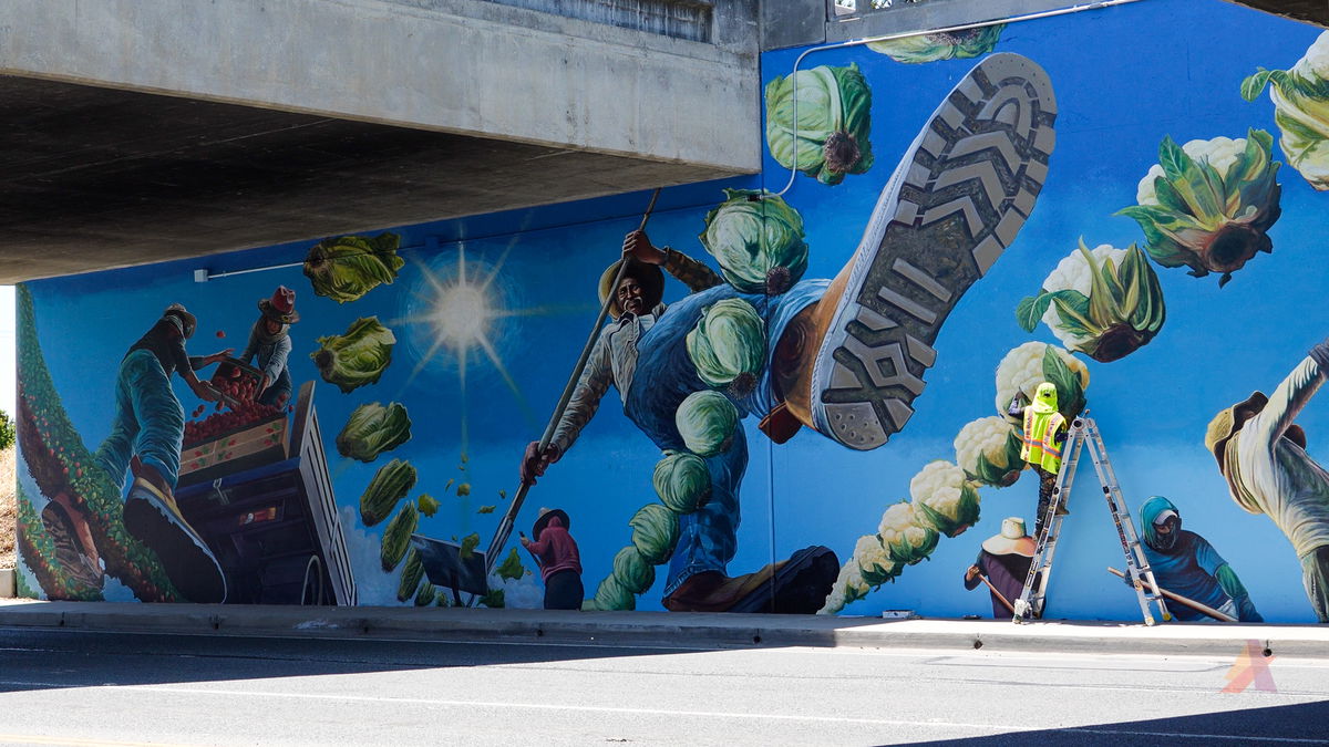 New murals on display under the Highway 101 overpasses in Salinas