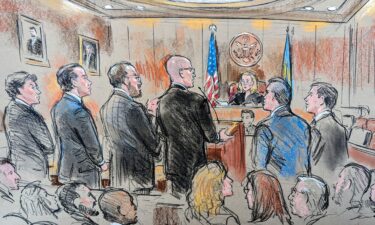 In this sketch from federal court