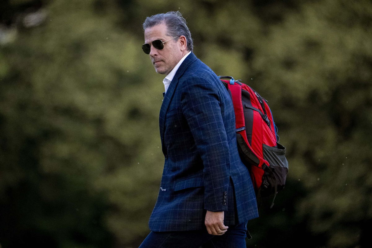 <i>Andrew Harnik/AP/File</i><br/>Hunter Biden