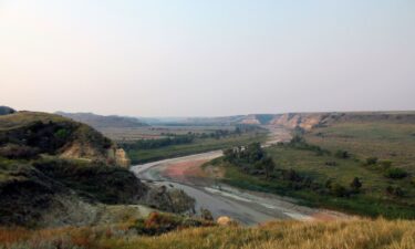 In the wake of two incidents involving bison attacks in national parks