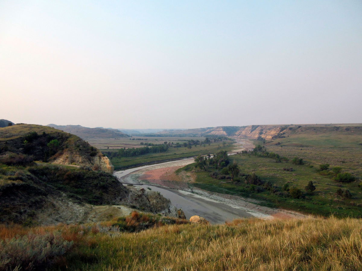 <i>Beth J. Harpaz/AP/File</i><br/>In the wake of two incidents involving bison attacks in national parks