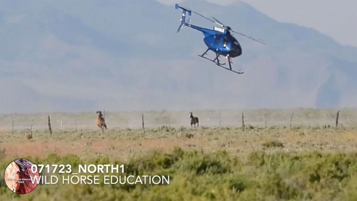 <i>Wild Horse Education</i><br/>Wild Horse Education