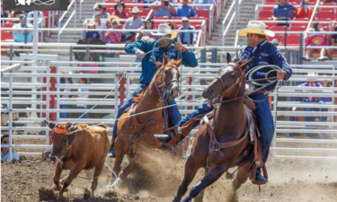 rodeo clowns, salinas rodeo