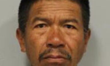 Julius Jordan Ibanez was arrested and charged for damaging a truck with a skateboard and untying boats from a harbor.