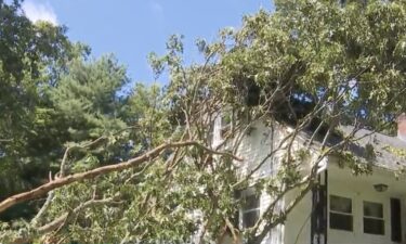 Downed trees and damaged homes kept clean up crews busy in Stoughton on August 19.