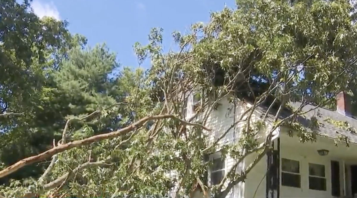 <i>WBZ</i><br/>Downed trees and damaged homes kept clean up crews busy in Stoughton on August 19.