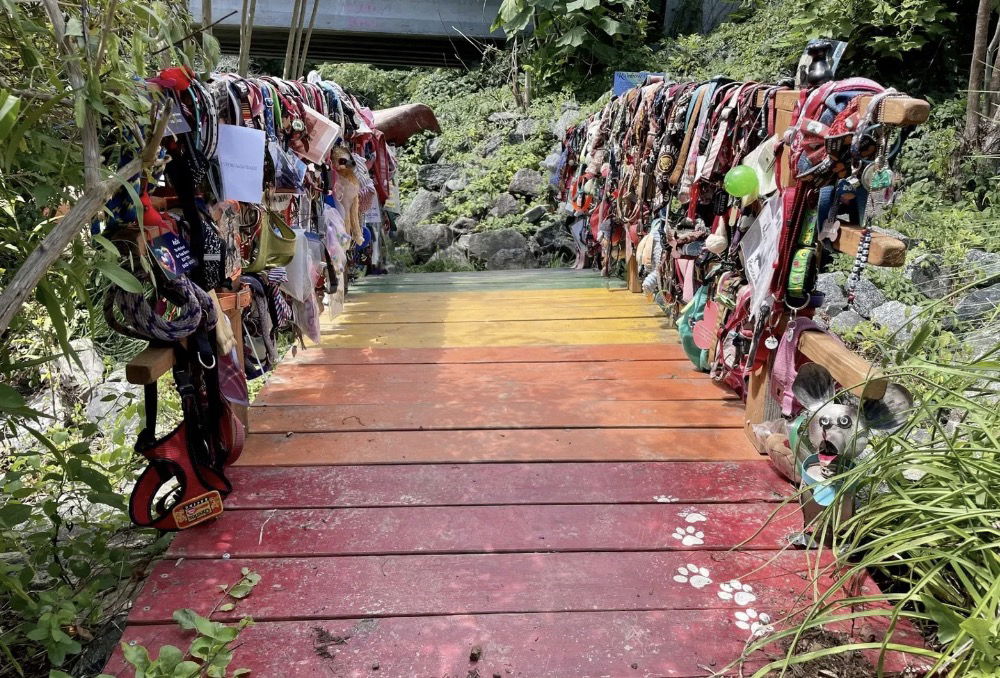 <i>WLOS</i><br/>Tucked away in Lake Lure is a Rainbow Bridge