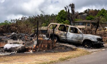 Scorched land and trees are seen on Maui.