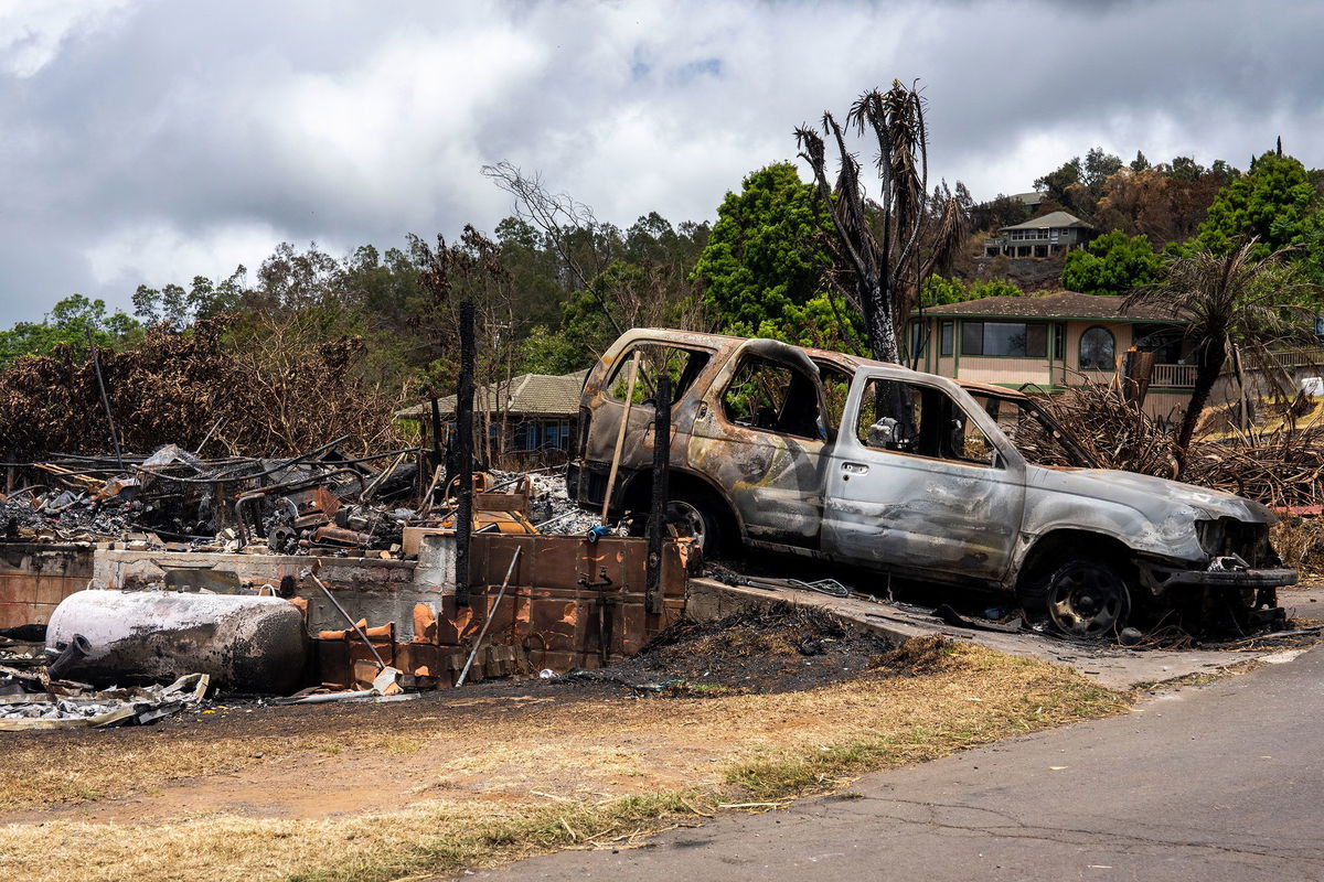 <i>Evelio Contreras/CNN</i><br/>Scorched land and trees are seen on Maui.