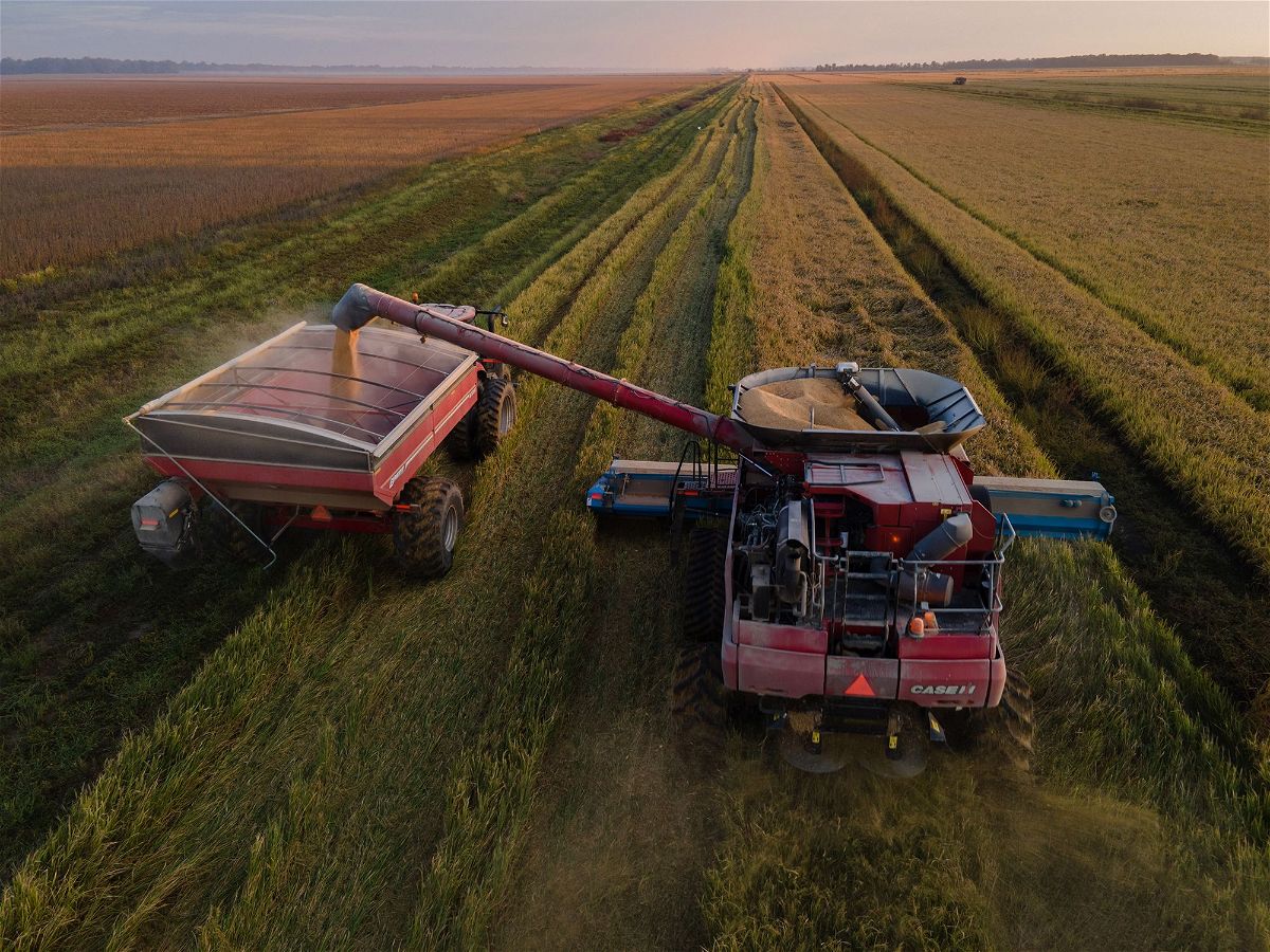 <i>Rory Doyle/Bloomberg/Getty Images</i><br/>Rice is loaded into a grain cart during a harvest at a farm in Pace