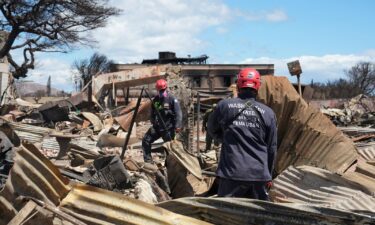 Members of FEMA urban search and rescue teams go through destroyed neighborhoods in Lahaina