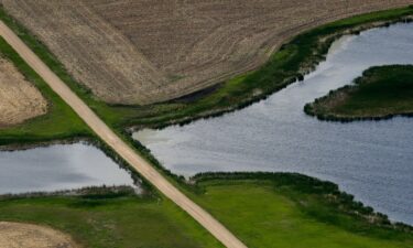 A road bisects wetland near Kulm