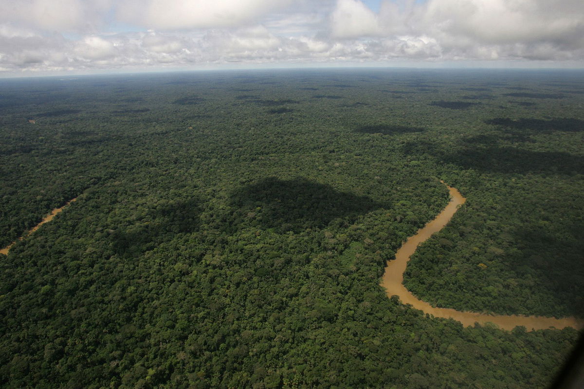 <i>Carl De Souza/AFP/Getty Images</i><br/>Among the species found in the Yasuní National Park