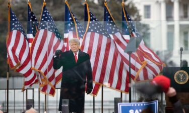 Then-President Donald Trump speaks to supporters from The Ellipse near the White House on January 6