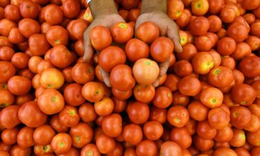 Burger King cuts tomatoes from its India menu. Pictured is a tomato stand at a vegetable market in Hyderabad on July 4.