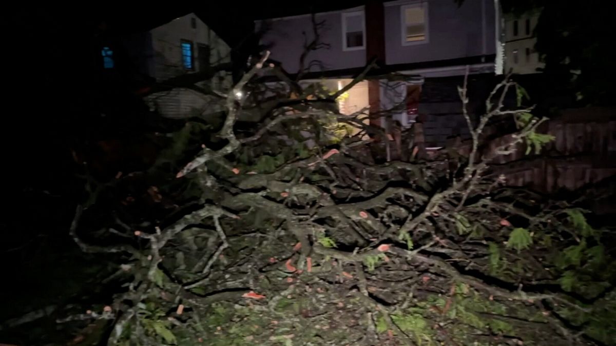 <i>WSYM</i><br/>Homes and businesses are without power in parts of Michigan and Ohio after a round of severe thunderstorms.