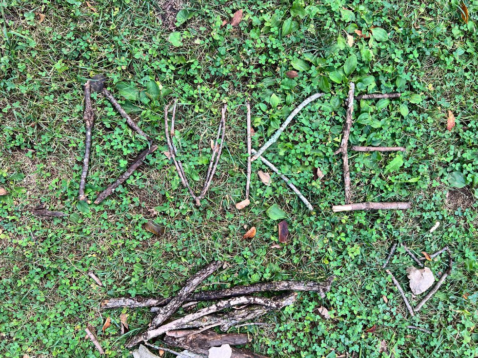 <i>WSMV</i><br/>Sticks are carefully placed to spell out 