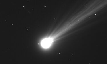 Lowell Observatory astronomer Dr. Larry Wasserman captured an image of Comet Nishimura using the Lowell Discovery Telescope (4.3-m diameter) Wednesday morning during twilight.