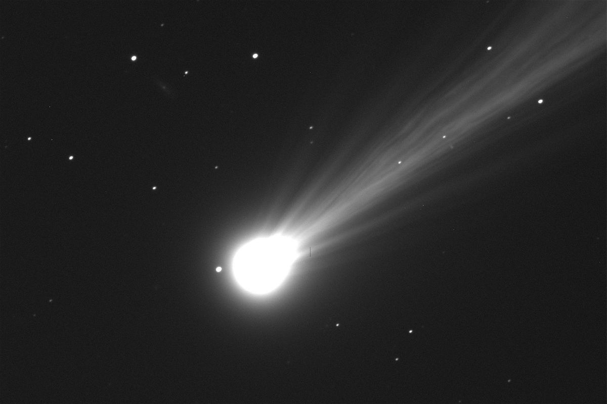 <i>Larry Wasserman/Matthew Knight/Dave Schleicher/Lowell Observatory</i><br/>Lowell Observatory astronomer Dr. Larry Wasserman captured an image of Comet Nishimura using the Lowell Discovery Telescope (4.3-m diameter) Wednesday morning during twilight.