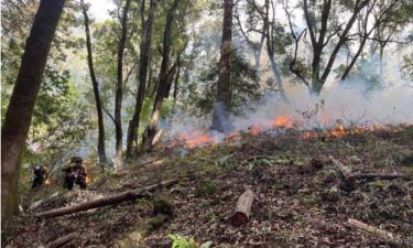 prescribed burn, santa cruz county, fire