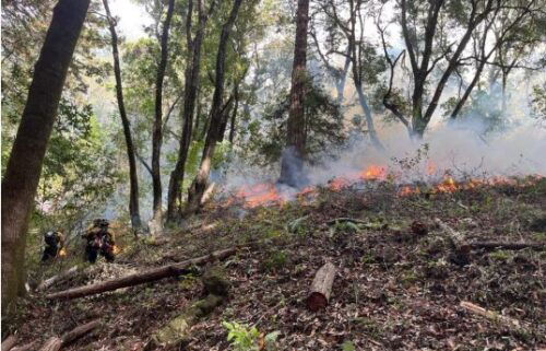 prescribed burn, santa cruz county, fire