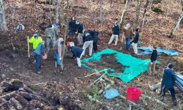 New York State Police search Vermont woods for evidence in 30-year homicide investigation.